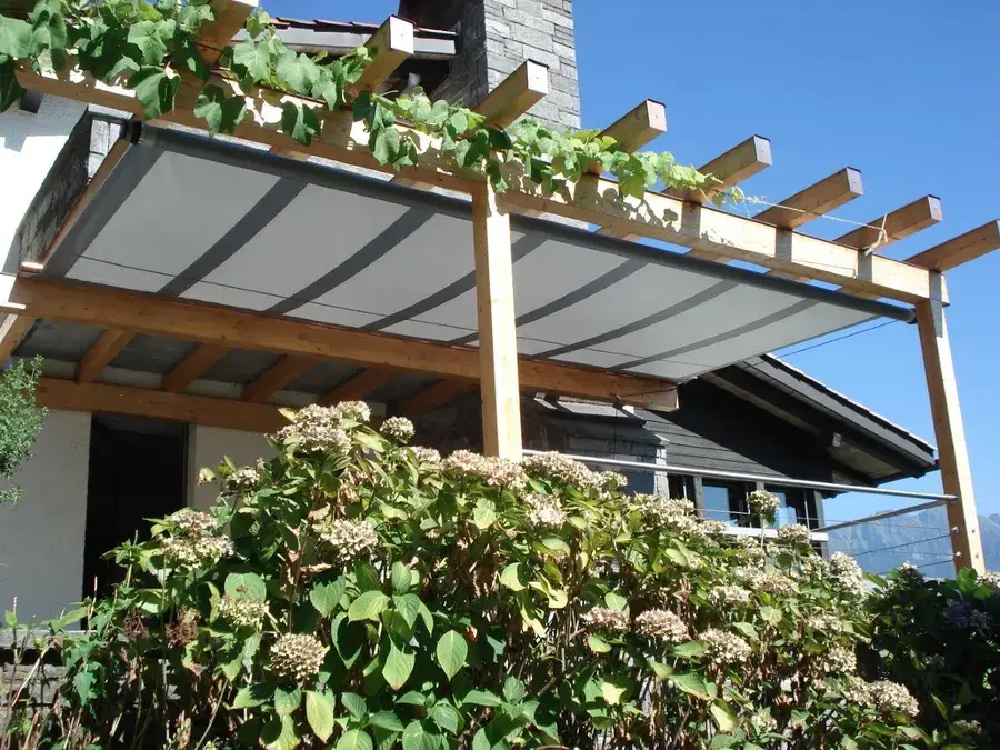 Shade structure covering a patio and overgrown with vines.